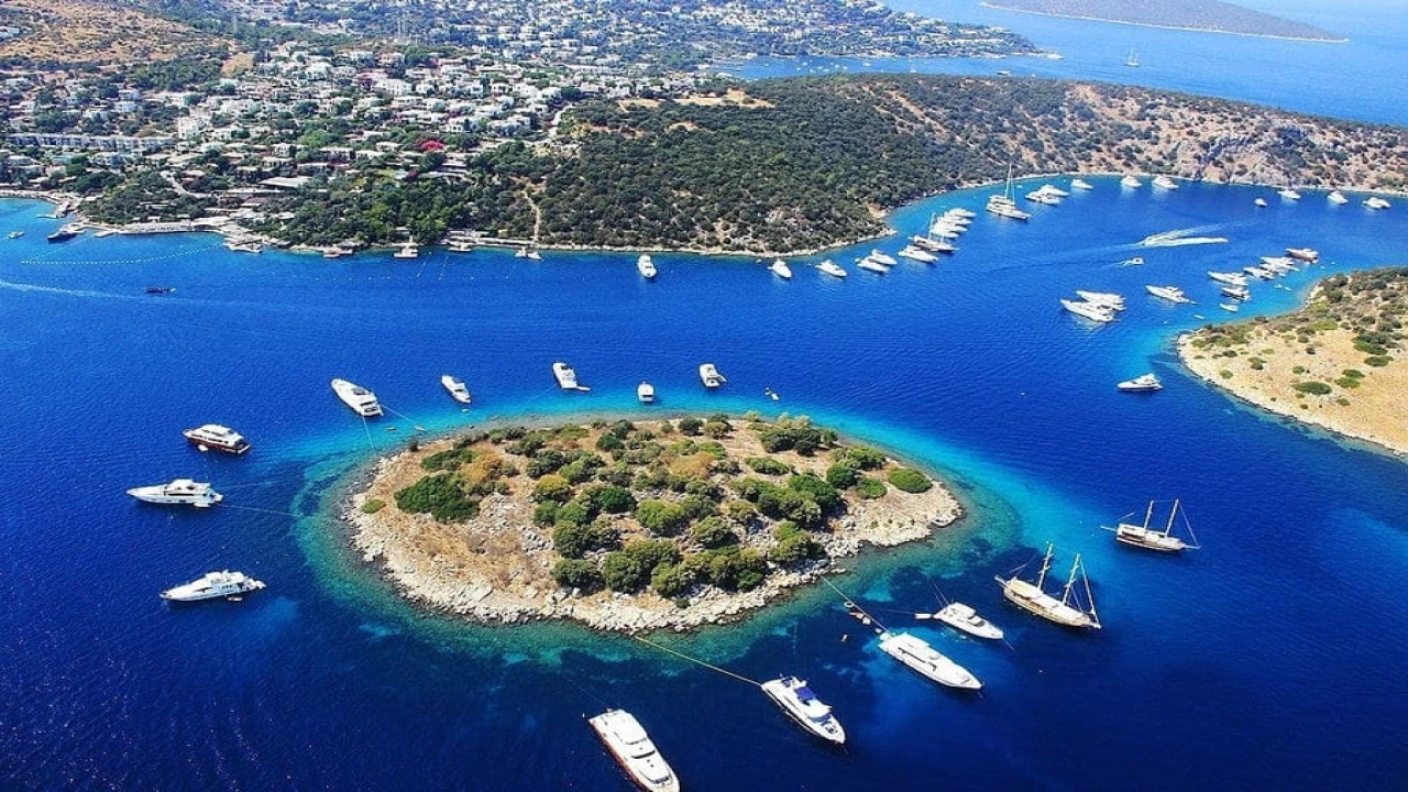 Muğla Arsa Yatırımı | Fiyatlar, İmar Durumu ve Zeytinlik Alanlar