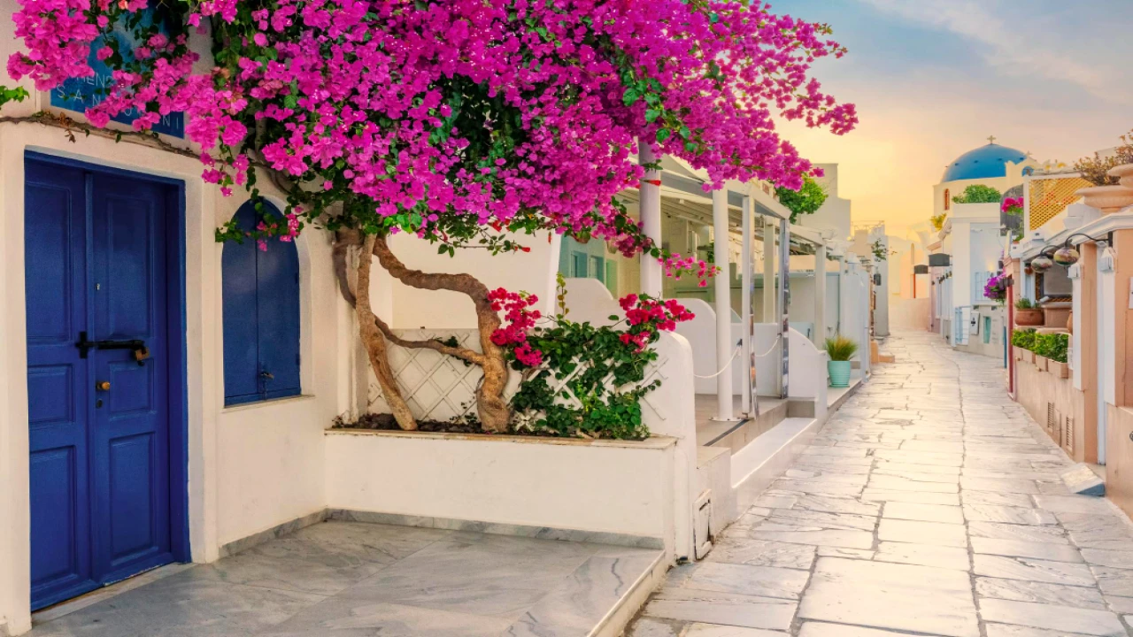 Muğla’nın En Karlı İlçeleri: Bodrum’dan Fethiye’ye Yatırım Haritası